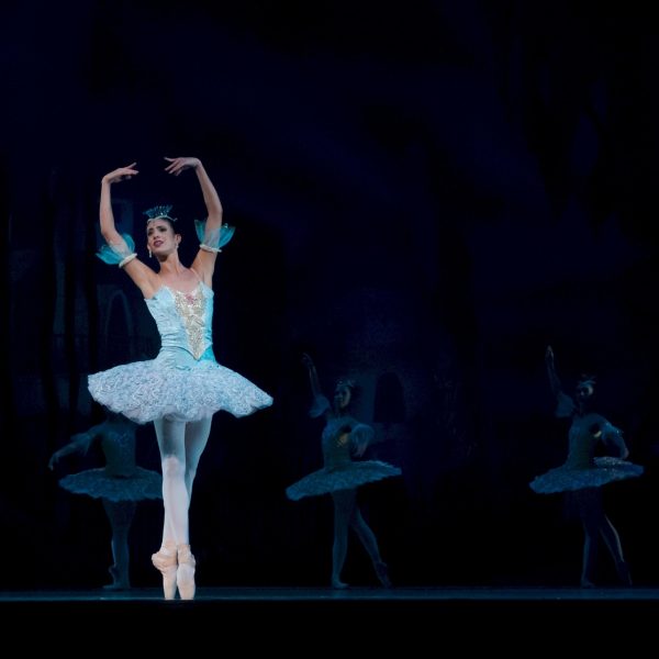 ballet-ballerina-performance-don-quixote-46158.jpeg